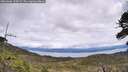 ./images/calvert/fitz-hugh-hecate/20260606/fitz-hugh-hecate20260606_134501M.jpg