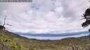 ./images/calvert/fitz-hugh-hecate/20260606/fitz-hugh-hecate20260606_135001M.jpg