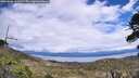 ./images/calvert/fitz-hugh-hecate/20260606/fitz-hugh-hecate20260606_141001M.jpg