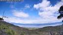 ./images/calvert/fitz-hugh-hecate/20260606/fitz-hugh-hecate20260606_145001M.jpg