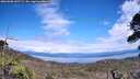 ./images/calvert/fitz-hugh-hecate/20260606/fitz-hugh-hecate20260606_145502M.jpg