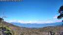 ./images/calvert/fitz-hugh-hecate/20260606/fitz-hugh-hecate20260606_153501M.jpg