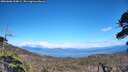 ./images/calvert/fitz-hugh-hecate/20260606/fitz-hugh-hecate20260606_154001M.jpg