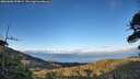 ./images/calvert/fitz-hugh-hecate/20260606/fitz-hugh-hecate20260606_204001M.jpg
