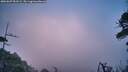 ./images/calvert/fitz-hugh-hecate/20260607/fitz-hugh-hecate20260607_053502M.jpg
