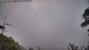 ./images/calvert/fitz-hugh-hecate/20260607/fitz-hugh-hecate20260607_054501M.jpg