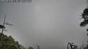 ./images/calvert/fitz-hugh-hecate/20260607/fitz-hugh-hecate20260607_062001M.jpg