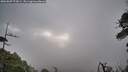 ./images/calvert/fitz-hugh-hecate/20260607/fitz-hugh-hecate20260607_073001M.jpg