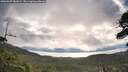 ./images/calvert/fitz-hugh-hecate/20260607/fitz-hugh-hecate20260607_081001M.jpg