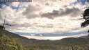 ./images/calvert/fitz-hugh-hecate/20260607/fitz-hugh-hecate20260607_081501M.jpg