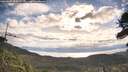 ./images/calvert/fitz-hugh-hecate/20260607/fitz-hugh-hecate20260607_082001M.jpg