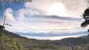 ./images/calvert/fitz-hugh-hecate/20260607/fitz-hugh-hecate20260607_084501M.jpg