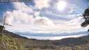 ./images/calvert/fitz-hugh-hecate/20260607/fitz-hugh-hecate20260607_090001M.jpg