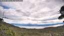 ./images/calvert/fitz-hugh-hecate/20260607/fitz-hugh-hecate20260607_100001M.jpg