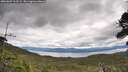 ./images/calvert/fitz-hugh-hecate/20260607/fitz-hugh-hecate20260607_103502M.jpg