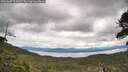 ./images/calvert/fitz-hugh-hecate/20260607/fitz-hugh-hecate20260607_111001M.jpg