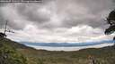 ./images/calvert/fitz-hugh-hecate/20260607/fitz-hugh-hecate20260607_111501M.jpg
