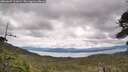 ./images/calvert/fitz-hugh-hecate/20260607/fitz-hugh-hecate20260607_113002M.jpg