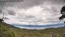 ./images/calvert/fitz-hugh-hecate/20260607/fitz-hugh-hecate20260607_114502M.jpg