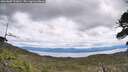 ./images/calvert/fitz-hugh-hecate/20260607/fitz-hugh-hecate20260607_121002M.jpg