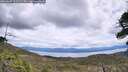 ./images/calvert/fitz-hugh-hecate/20260607/fitz-hugh-hecate20260607_121501M.jpg