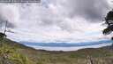 ./images/calvert/fitz-hugh-hecate/20260607/fitz-hugh-hecate20260607_122001M.jpg