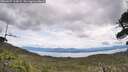 ./images/calvert/fitz-hugh-hecate/20260607/fitz-hugh-hecate20260607_123002M.jpg