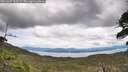 ./images/calvert/fitz-hugh-hecate/20260607/fitz-hugh-hecate20260607_123501M.jpg