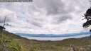 ./images/calvert/fitz-hugh-hecate/20260607/fitz-hugh-hecate20260607_124501M.jpg