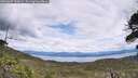 ./images/calvert/fitz-hugh-hecate/20260607/fitz-hugh-hecate20260607_125002M.jpg