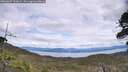 ./images/calvert/fitz-hugh-hecate/20260607/fitz-hugh-hecate20260607_131001M.jpg