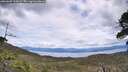 ./images/calvert/fitz-hugh-hecate/20260607/fitz-hugh-hecate20260607_133001M.jpg