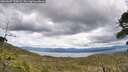 ./images/calvert/fitz-hugh-hecate/20260607/fitz-hugh-hecate20260607_135001M.jpg