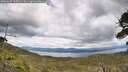 ./images/calvert/fitz-hugh-hecate/20260607/fitz-hugh-hecate20260607_135501M.jpg