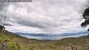 ./images/calvert/fitz-hugh-hecate/20260607/fitz-hugh-hecate20260607_140001M.jpg
