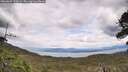 ./images/calvert/fitz-hugh-hecate/20260607/fitz-hugh-hecate20260607_141001M.jpg