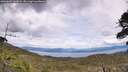 ./images/calvert/fitz-hugh-hecate/20260607/fitz-hugh-hecate20260607_142001M.jpg