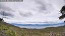 ./images/calvert/fitz-hugh-hecate/20260607/fitz-hugh-hecate20260607_143501M.jpg