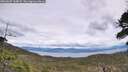 ./images/calvert/fitz-hugh-hecate/20260607/fitz-hugh-hecate20260607_144001M.jpg