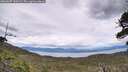 ./images/calvert/fitz-hugh-hecate/20260607/fitz-hugh-hecate20260607_145001M.jpg