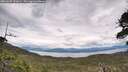 ./images/calvert/fitz-hugh-hecate/20260607/fitz-hugh-hecate20260607_151001M.jpg