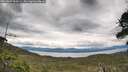 ./images/calvert/fitz-hugh-hecate/20260607/fitz-hugh-hecate20260607_153501M.jpg