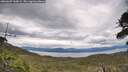 ./images/calvert/fitz-hugh-hecate/20260607/fitz-hugh-hecate20260607_160001M.jpg