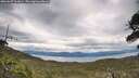 ./images/calvert/fitz-hugh-hecate/20260607/fitz-hugh-hecate20260607_161001M.jpg