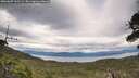 ./images/calvert/fitz-hugh-hecate/20260607/fitz-hugh-hecate20260607_161501M.jpg
