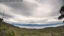 ./images/calvert/fitz-hugh-hecate/20260607/fitz-hugh-hecate20260607_162002M.jpg