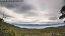 ./images/calvert/fitz-hugh-hecate/20260607/fitz-hugh-hecate20260607_162501M.jpg