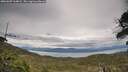 ./images/calvert/fitz-hugh-hecate/20260607/fitz-hugh-hecate20260607_164001M.jpg