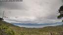 ./images/calvert/fitz-hugh-hecate/20260607/fitz-hugh-hecate20260607_165002M.jpg