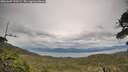 ./images/calvert/fitz-hugh-hecate/20260607/fitz-hugh-hecate20260607_170501M.jpg